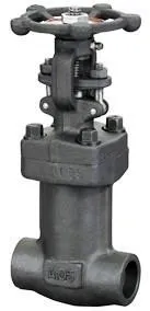 Bolted Bonnet Bellows Seal Gate Valves